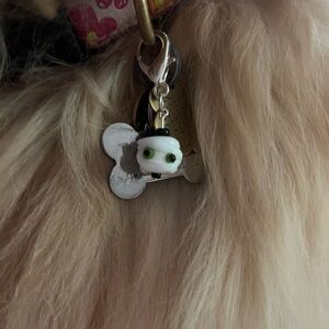 🎃Halloween/fall pet charm